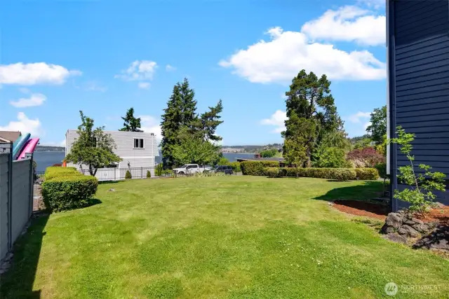 Huge backyard with tons of possibilities.