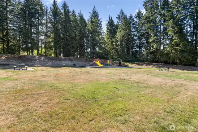 Community park