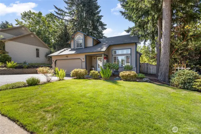 Large, private lot