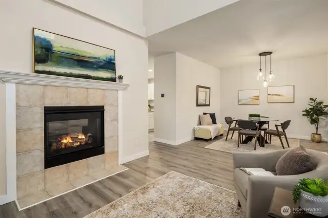 LR with double sided fireplace