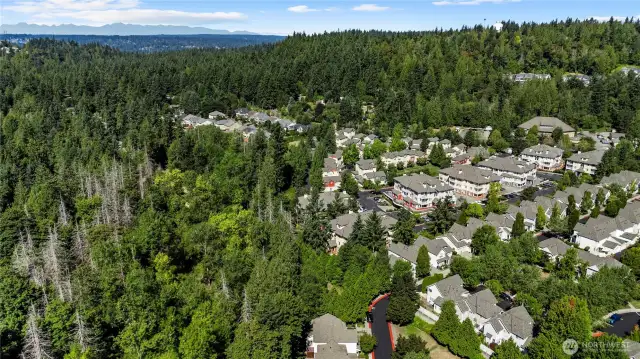 Nestled perfectly between a private park in front and a tranquil greenbelt at the rear, this home offers both a peaceful retreat and immediate access to daily conveniences.