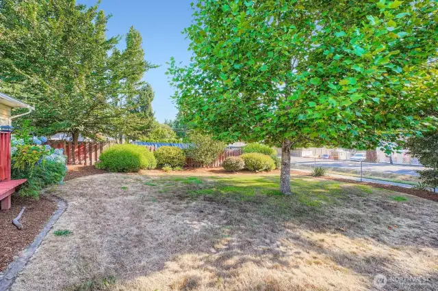 fully fenced front yard