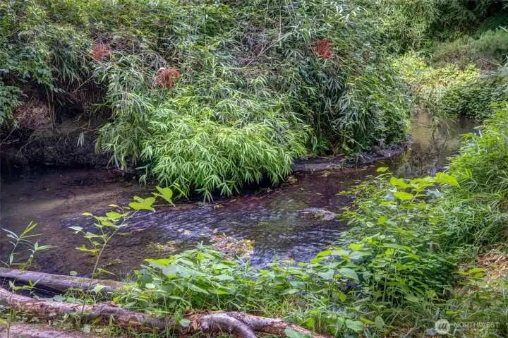 Thornton Creek