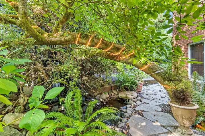 A storybook fountain and pond