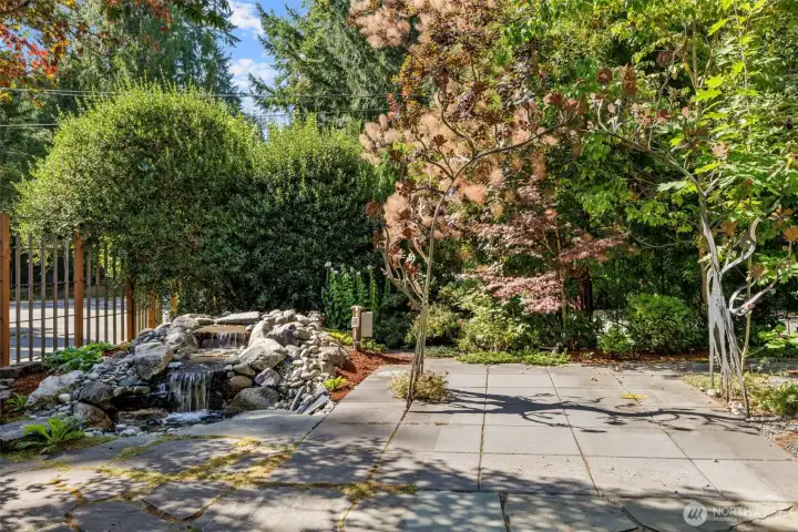 Beautiful Mature Trees Surround a Tranquil Water Feature