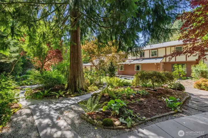 Lush Garden Pathways and Artful Plantings Throughout