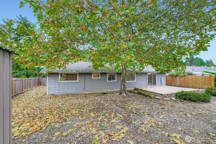 Large, fully fenced yard with storage shed and generous side yard. Ideal for playing or gardening.