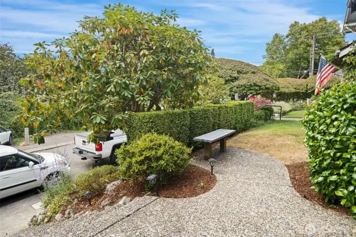 Garden like setting with cute little bench