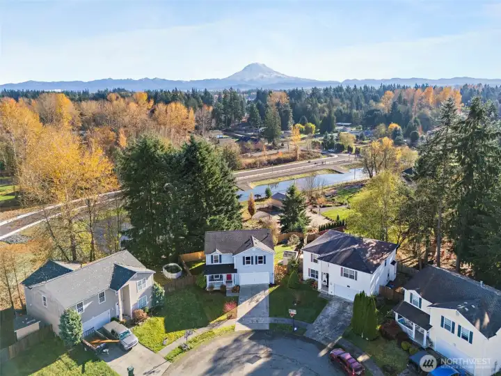 Privacy with no neighbors behind