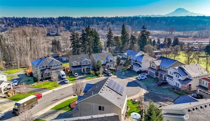Air view of neighborhood with lovely view of Mt Rainier