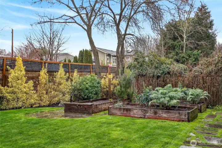 Garden to table dining is ready to go!