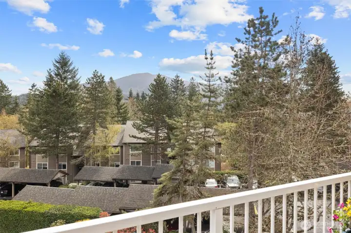 Views of Tiger Mountain from deck