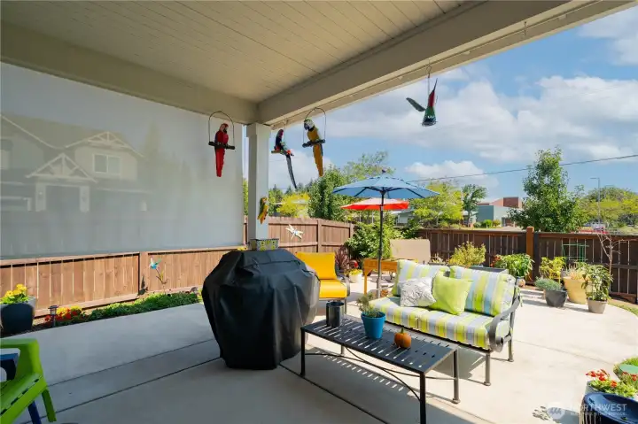 Back Patio/Sun Shade