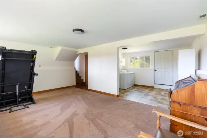 Basement bonus room