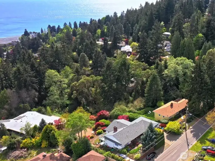 Classic mid-century home with partially finished basement, nestled among mature evergreens on an expansive half-acre lot in Gregory Heights, Normandy Park.