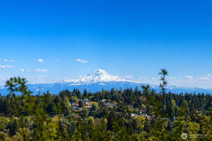 The mountain is out!  Enjoy great Rainier views from south-facing rooms upstairs and downstairs, patio, and grassy back yard!