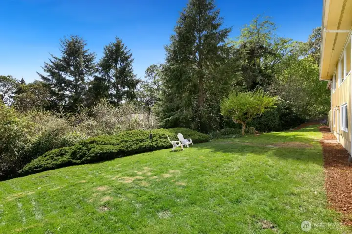 Peaceful backyard retreat with lush lawn, mature trees, and a territorial view peeking through the canopy.