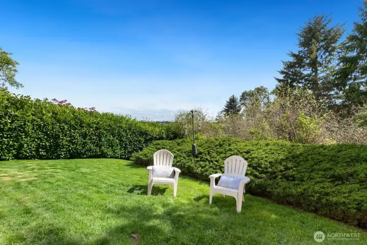 Sunny south-facing backyard with manicured hedges, green lawn, and open sky views, a great spot to relax and unwind.