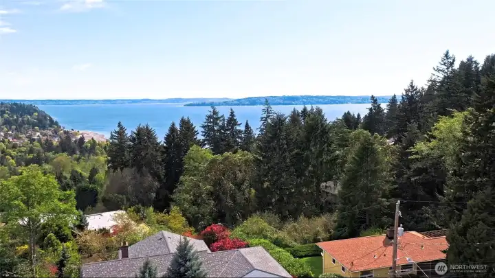 Overhead view showing the home's prime position in Normandy Park, just steps from the tree line and minutes to private beach access at The Cove.