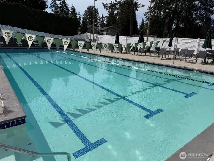 Tam O'Shanter Community Pool
