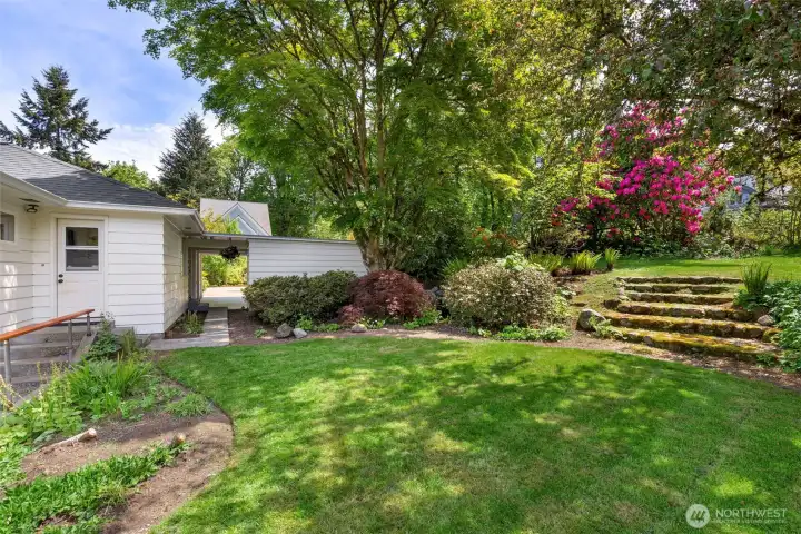 back yard space with mature trees that show off their colors at different times through spring and fall