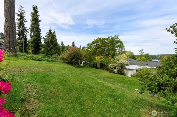 More garden space above the lower back yard