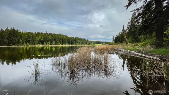 Unmatched tranquility and pristine water views. This expansive waterfront acreage is a rare find, offering an idyllic setting for your dream Okanogan Valley retreat.