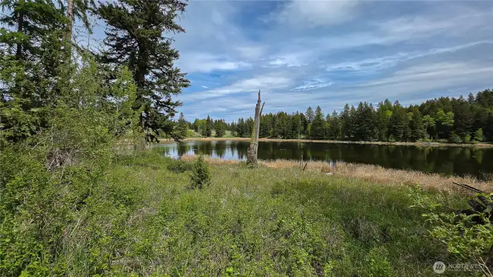 Expansive skies and peaceful shores. This buildable acreage offers a gentle, grassy approach to the water, framed by mature pines—the perfect private setting for your dream retreat.