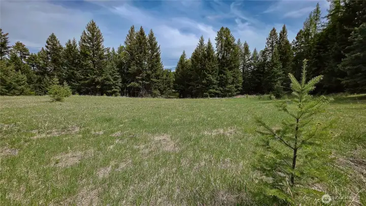 The perfect building site! This expansive, East-facing meadow near the entrance offers a level, cleared space ready for your custom home or cabin. Enjoy ultimate privacy surrounded by mature timber and stunning evening sunsets. Looking at the driveway facing East.