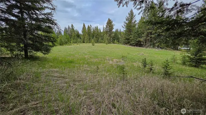 Looking north across the expansive, level building pad. This generous, sunlit meadow provides ample, easy-to-develop space and natural evergreen privacy for your dream home and outbuildings.