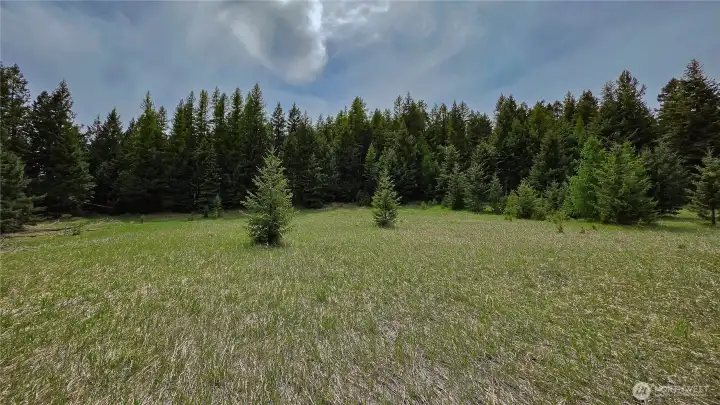 Looking south across the spacious, level building pad. Offering excellent southern exposure, this spot is completely primed for a solar-powered off-grid retreat or a sustainable build, with traditional grid power already available!