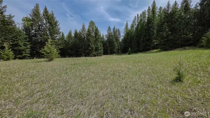 A perfect blend of open space and forested privacy. This gently rolling, sunlit meadow is completely enveloped by mature timber, offering a quiet, secluded building site for your dream cabin or home.