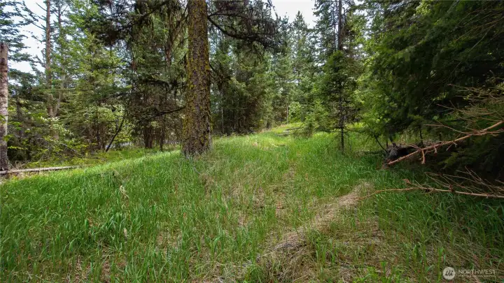 Existing infrastructure! This roughed-in access road gracefully wraps around the southern edge of the East property, providing easy and immediate access to the West property property.