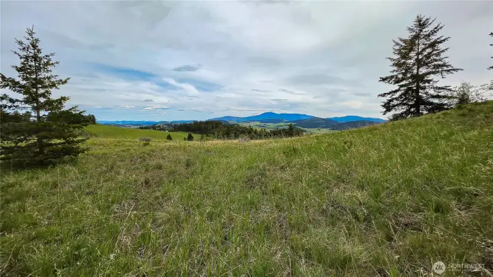 Unbelievable Okanogan County views! Looking south from the western property, this rolling acreage offers sweeping mountain vistas. With some selective tree thinning, you can easily unlock an absolutely stunning, panoramic view of Teal Lake.