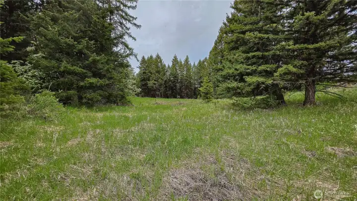 Looking southeast down the established access road on the north side of the western parcel. This wide, tree-lined grassy pathway provides incredibly convenient and private entry to your future secluded build sites!