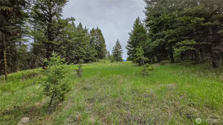 So many places to play, camp, and create your own private escape! This lush, tree-lined clearing offers endless recreational potential and the ultimate secluded setting to design your perfect outdoor retreat.