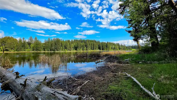 An incredible 625 feet of private shoreline! Enjoy endless recreational opportunities and breathtaking, unobstructed views across the glassy waters of Teal Lake from this expansive North Central Washington waterfront retreat.