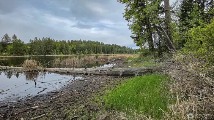 Your own piece of Teal Lake! The eastern edge of the property boasts direct waterfront access, featuring a peaceful, natural shoreline and stunning, unobstructed views of the surrounding evergreen timber.