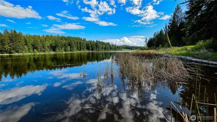 A picture-perfect waterfront sanctuary! Enjoy breathtaking, glassy reflections of the sky and clouds right from your own pristine stretch of Teal Lake shoreline. The ultimate Okanogan County escape!