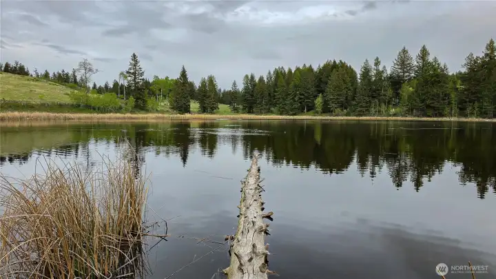 Looking east across the glassy waters of Teal Lake. Enjoy peaceful mornings, stunning natural reflections, and pure Okanogan County serenity right from your own private, rustic shoreline!
