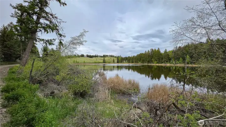 Views, views, views! Framed perfectly by native timber, this spectacular vantage point offers sweeping, unobstructed vistas across the glassy waters of Teal Lake to the beautiful rolling hills beyond.