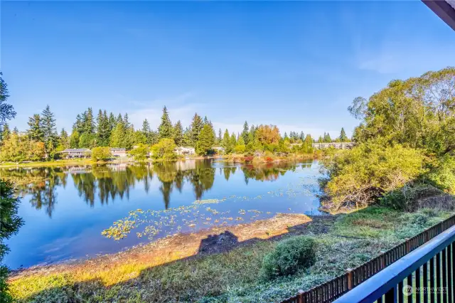 North-West view from your private deck.