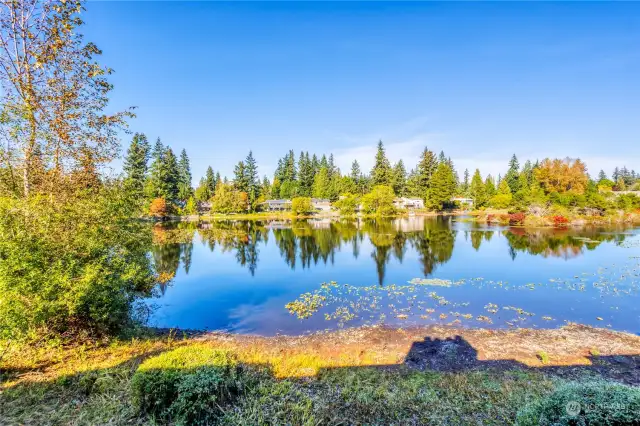 View of lake from your deck, frequently spotted with ducks & Canadian geese.