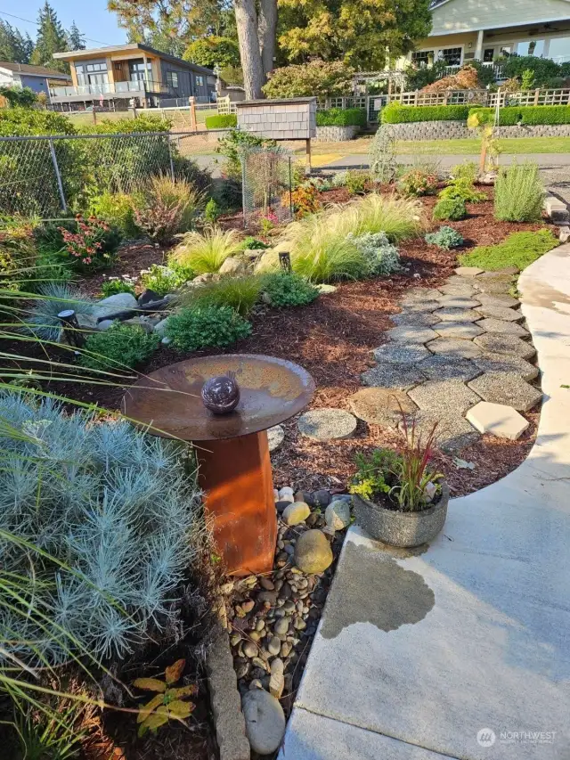 Native drought tolerant plants