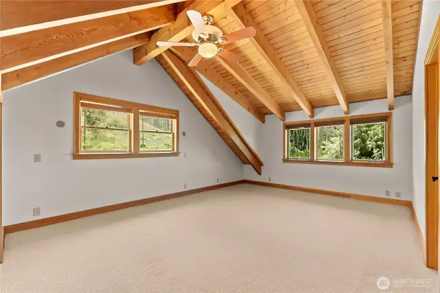Vaulted ceilings.