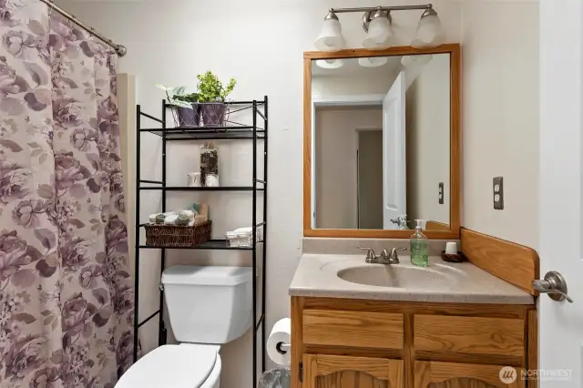 Hall bathroom has a skylight.
