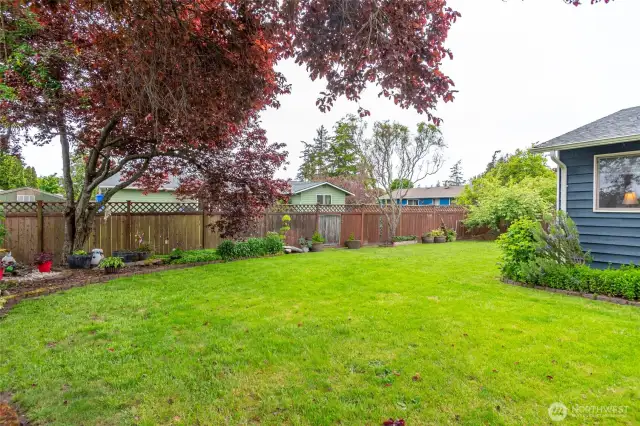 Beautifully landscaped backyard.