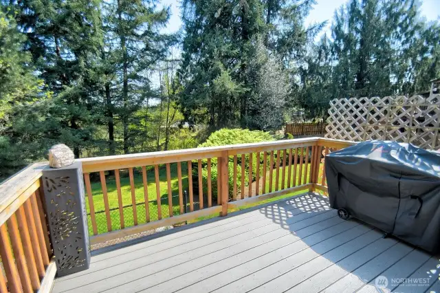 Back deck redone with Trex decking
