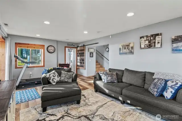 Family Room (Basement)