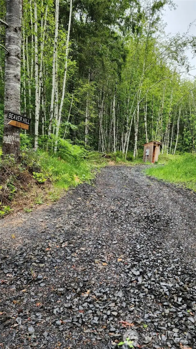 driveway up to cabins